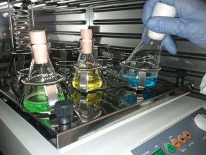 plan de residuos residuos