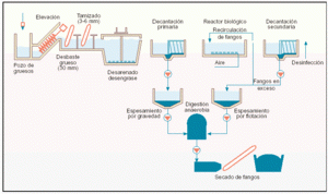 Fases depuración aguas