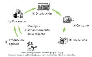 cadena de suministro
