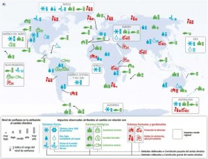 Impacto cambio climático en los ecosistemas impacto-en-ecosistemas