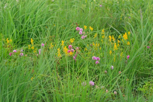 por-que-separar-los-residuos