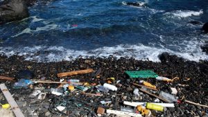 plasticos en el mar