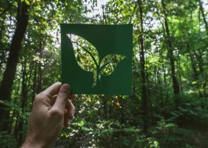 pasaporte producto digital